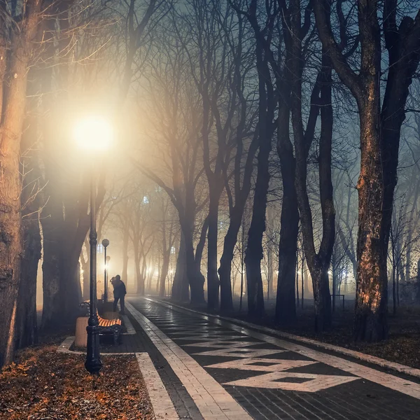 Fußweg in einem märchenhaften herbstlichen Stadtpark bei Nacht im Nebel — Stockfoto