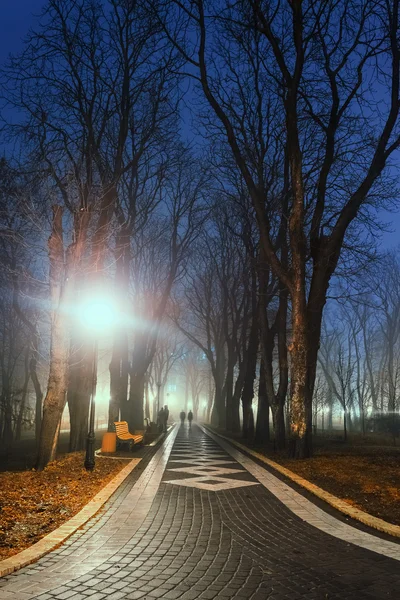 Chodnik w bajecznym jesień park miejski w nocy we mgle — Zdjęcie stockowe