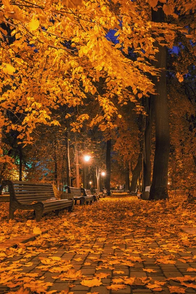 Beautiful autumn city park at night — Stock Photo, Image