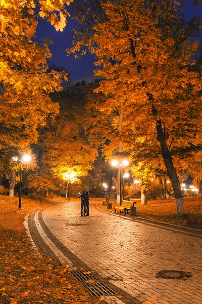 Beautiful autumn city park at night — Stock Photo, Image