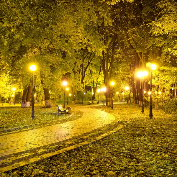 Schöner herbstlicher Stadtpark bei Nacht — Stockfoto