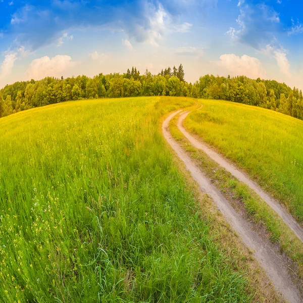 Bellissimo paesaggio estivo con campo di erba verde e cielo perfetto — Foto Stock