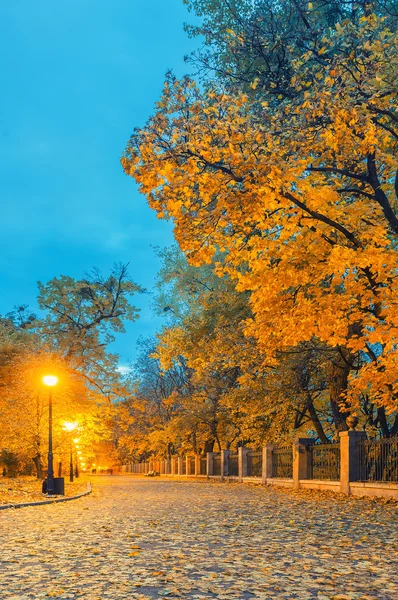 Beau parc de la ville d'automne la nuit . — Photo