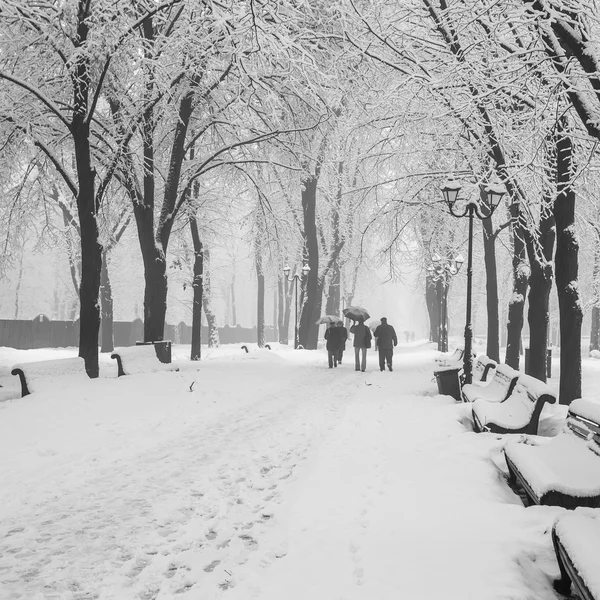 Пішохідна стежка в казковому зимовому міському парку — стокове фото
