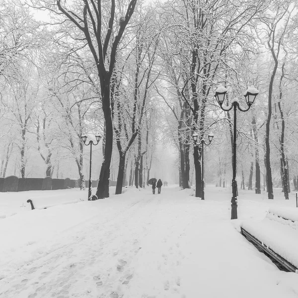 Тропа в сказочном зимнем городском парке — стоковое фото