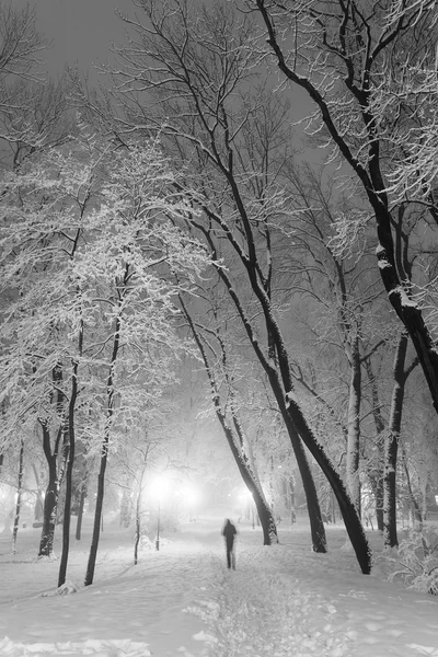 Wandelpad in een prachtig winter stadspark — Stockfoto