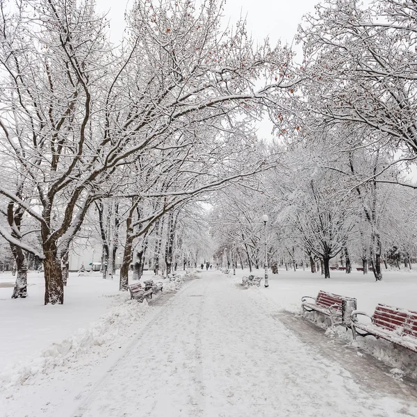 Sendero en un fabuloso parque de invierno de la ciudad —  Fotos de Stock