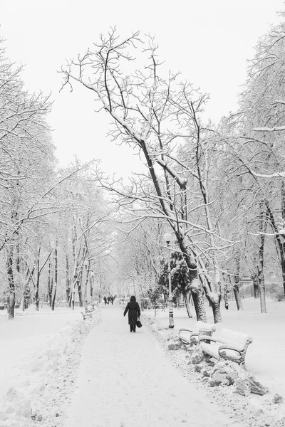 Sendero en un fabuloso parque de invierno de la ciudad —  Fotos de Stock