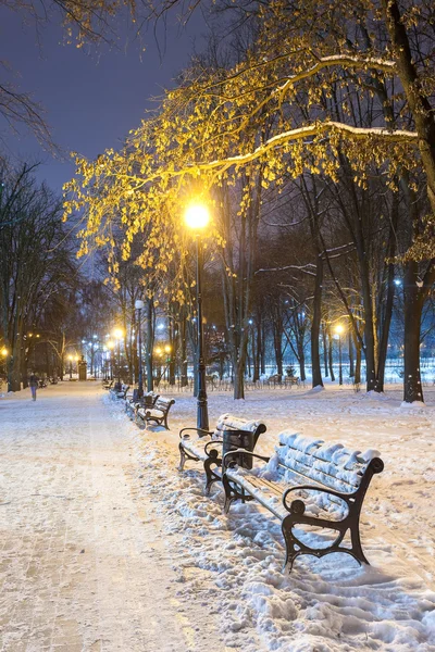 Sendero en un fabuloso parque de invierno de la ciudad — Foto de Stock