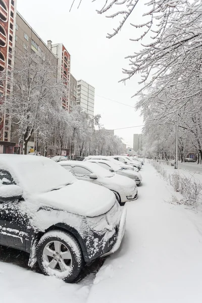 Auto's bedekt met sneeuw na een sneeuwstorm — Stockfoto