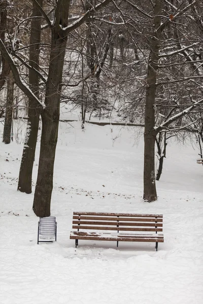 Één bank bedekt met sneeuw in de winter park — Stockfoto