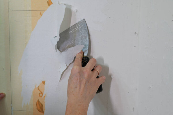 The woman removes the wallpaper from the wall in the room with her hands. Home renovation photo.