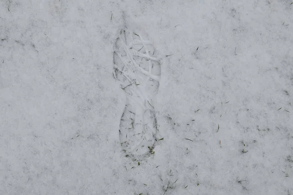 Foto Una Huella Hombre Nieve Sobre Asfalto —  Fotos de Stock