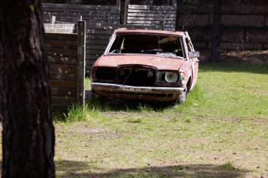 Fotoğraf hurdası, ormanda paslı bir araba.