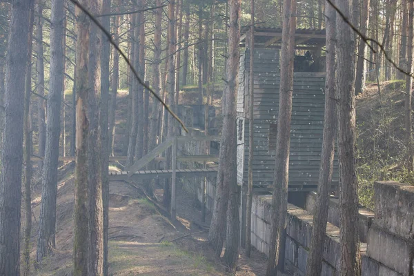 2021年5月9日 白俄罗斯明斯克 报道了一场真正的森林软性游戏 背景是风景 高分辨率照片 — 图库照片