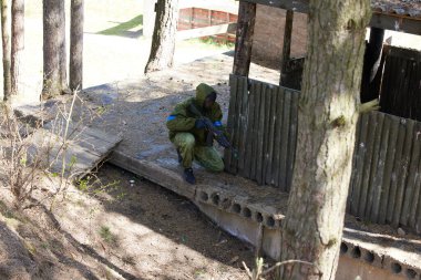 Minsk, Belarus, 9 Mayıs 2021 - Manzaralı bir ormanda gerçek bir hava yumuşaklığı oyunu bildiriyorum. Yüksek çözünürlüklü fotoğraflar