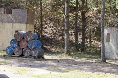 Ormanın yumuşak manzarası