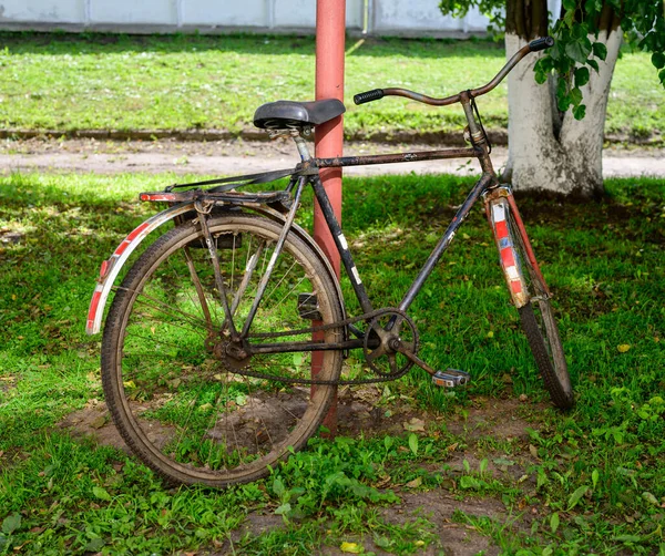 Foto Gammal Cykel Utomhus Gräset — Stockfoto