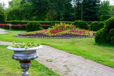 Yüksek çözünürlüklü yeşil bahçe manzarası tasarımı, park yolu ve renkli çiçekler.