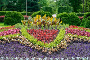 Renkli çiçekli yeşil bahçe manzarasının yüksek çözünürlüklü fotoğrafı