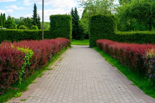 Foto Alta Resolución Diseño Paisaje Jardín Verde Con Camino Medio — Foto de Stock