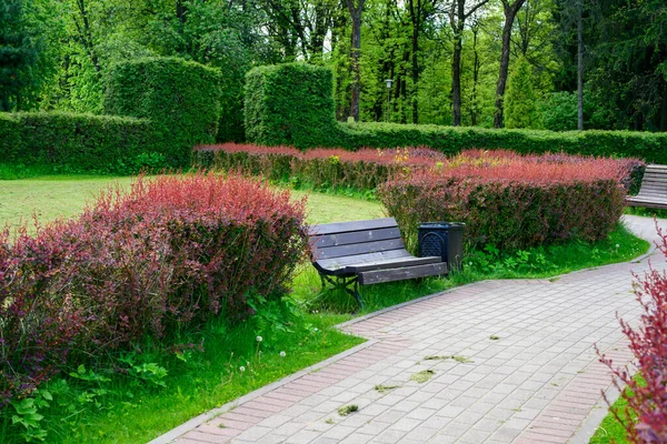 Foto Del Camino Parque Sobre Fondo Del Diseño Del Paisaje — Foto de Stock