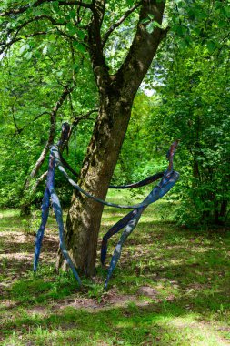 Ormandaki ağaçların yüksek çözünürlüklü fotoğrafları