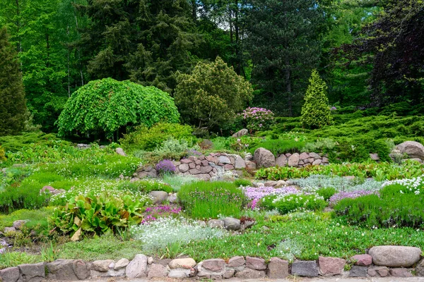 Foto Alta Resolución Diseño Paisaje Con Piedras Arbustos Hierba Árboles — Foto de Stock