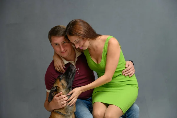 全家福 笑容满面的可爱女人和男人在摄影棚里与灰色背景的比利时牧羊犬在镜头前合影 — 图库照片