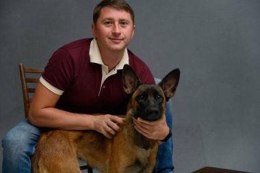 Belçikalı çoban köpeği Malinois ile stüdyoda gri arka planda bir sandalyede otururken kameraya bakan genç adam.