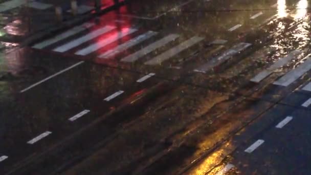 Heavy rain at the evening — Stock Video