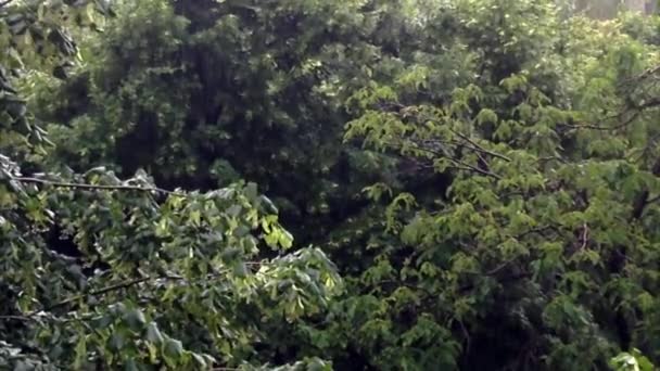 Pluie abondante, temps venteux 