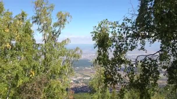 Città dall'alto tra gli alberi — Video Stock