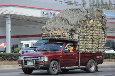 Özel eski pikap Araba, Toyota Hilux