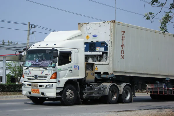 Camión de carga del contenedor del remolque de la compañía perfecta del remolque . — Foto de Stock