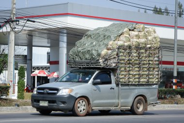 Pikap Araba, Toyota Hilux Vigo