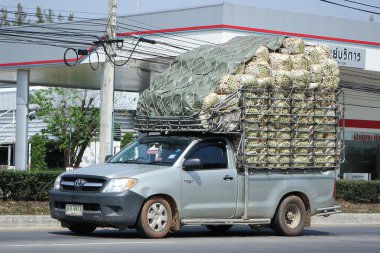 Pikap Araba, Toyota Hilux Vigo
