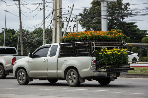 Chiangmai Thailand October 2020 Private Toyota Hilux Vigo Pickup Truck — Stock Photo, Image