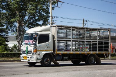 Chiangmai, Tayland - 26 Ekim 2020 Özel Hino Kargo Truck. Fotoğraf 1001 nolu yolda, Chiangmai, Tayland 'a 8 km uzaklıkta..