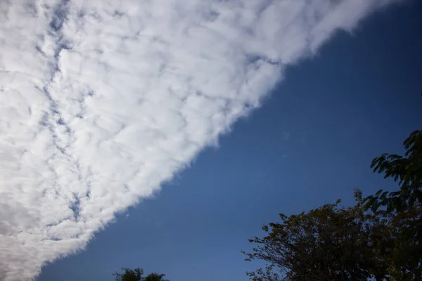Cloud Scape Cloud Tropical Sky Forma Cabeça Cão — Fotografia de Stock