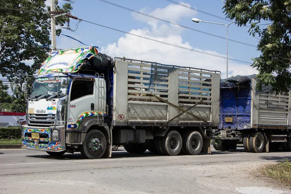 Chiangmai Tailândia Novembro 2020 Private Isuzu Cargo Truck Foto Estrada — Fotografia de Stock