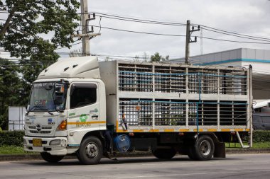 Chiangmai, Tayland - 17 Temmuz 2021: Betagro Şirketi 'nin domuz kafesi konteynır kamyonu. 1001 no 'lu yolda, Chiangmai İş Alanından 8 km uzakta..