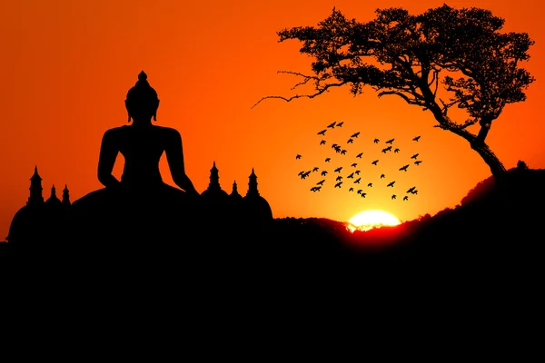 Sonnenuntergang mit Buddha-Baum-Vogel und Pagode — Stockfoto