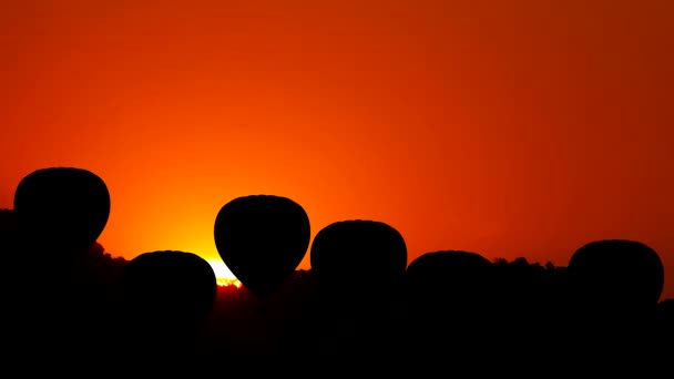 Animatie van hete luchtballon — Stockvideo