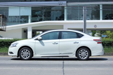 Özel araba, Nissan narin. 