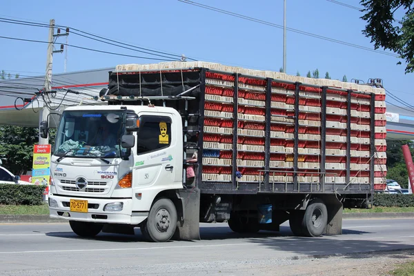 Ciężarówka Songsang przedsiębiorstwo transportu kurczaka — Zdjęcie stockowe