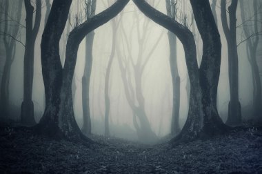 Halloween in mysterious forest with fog and spooky trees clipart