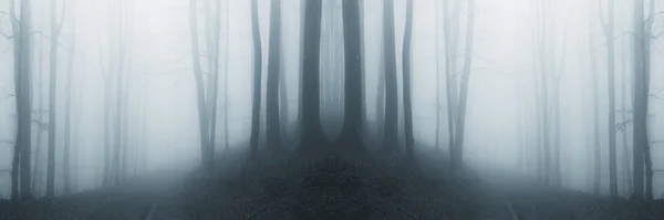 Surrealistische bos met mist op Halloween — Stockfoto