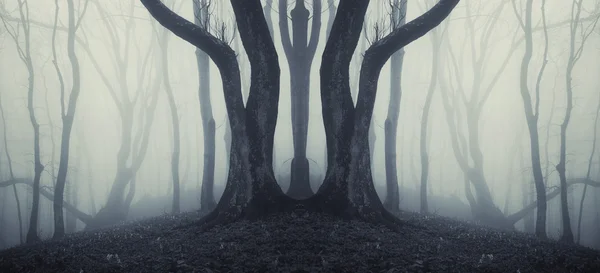 Bosque oscuro embrujado con niebla en Halloween —  Fotos de Stock