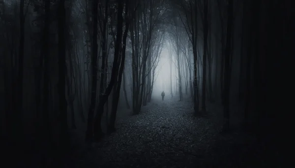 Bosque con hombre misterioso caminando en un camino — Foto de Stock